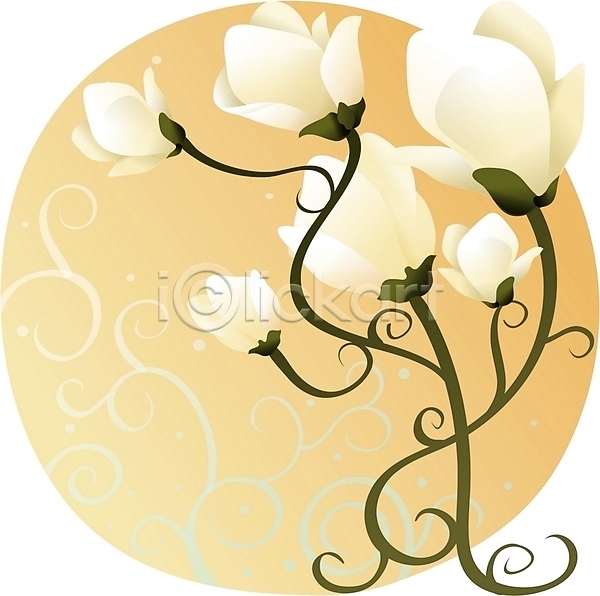 사람없음 EPS 일러스트 꽃 목련 백그라운드 봄꽃 식물 자연 클립아트 흰색