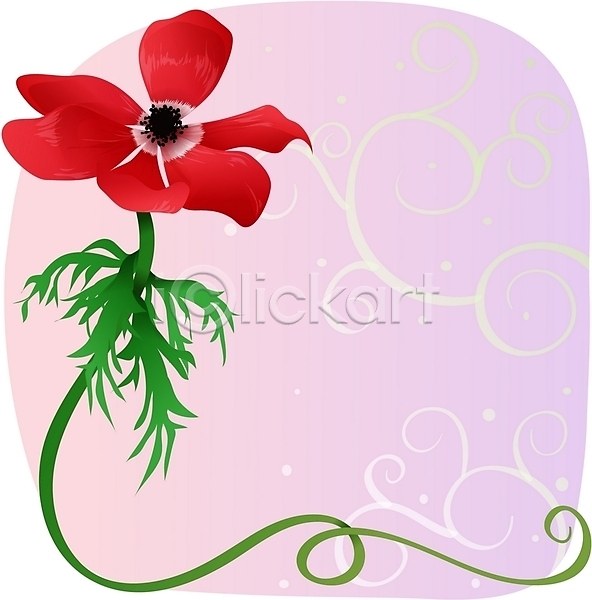 사람없음 EPS 일러스트 꽃 백그라운드 봄꽃 빨간색 식물 아네모네 자연 줄기 컬러 클립아트
