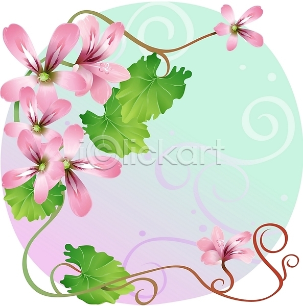 사람없음 EPS 일러스트 꽃 백그라운드 분홍색 식물 여름꽃 잎 자연 제라늄 줄기 클립아트