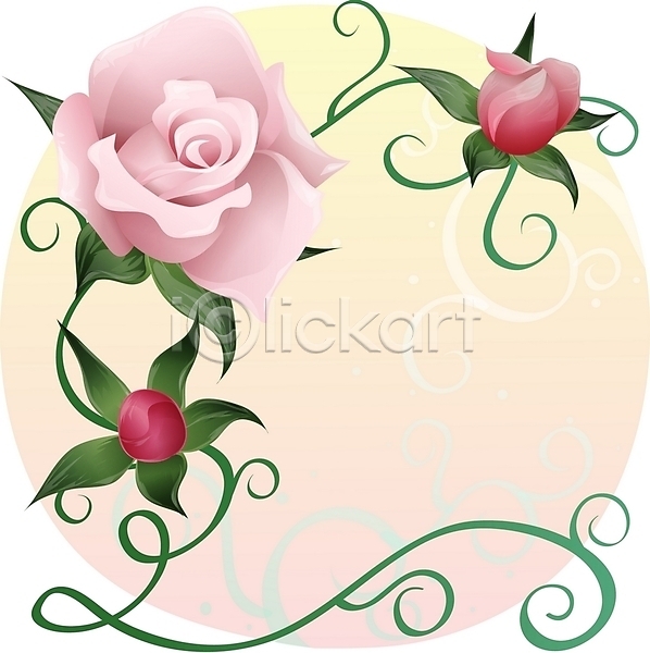 사람없음 EPS 일러스트 꽃 백그라운드 분홍색 빨간색 식물 여름꽃 자연 장미 줄기 클립아트
