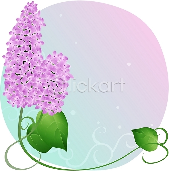 사람없음 EPS 일러스트 꽃 라일락 백그라운드 보라색 봄꽃 식물 잎 자연 줄기 컬러 클립아트