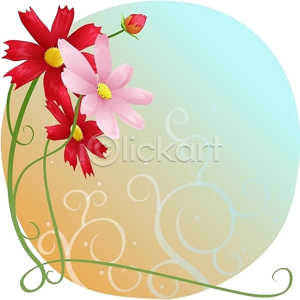 사람없음 EPS 일러스트 가을꽃 꽃 백그라운드 분홍색 빨간색 식물 자연 코스모스(꽃) 클립아트