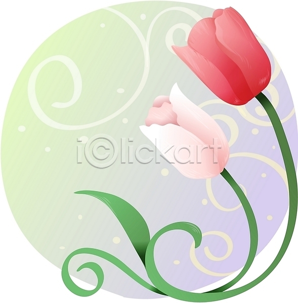 사람없음 EPS 일러스트 꽃 백그라운드 봄꽃 분홍색 빨간색 식물 자연 줄기 클립아트 튤립
