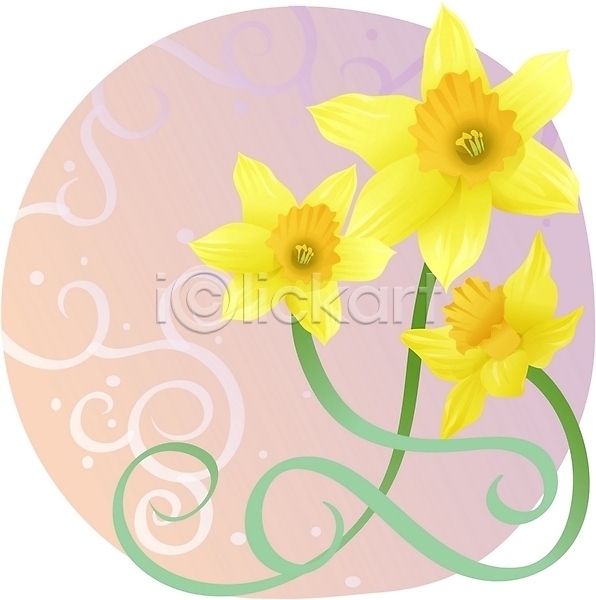 사람없음 EPS 일러스트 겨울꽃 꽃 노란색 백그라운드 수선화 식물 자연 줄기 컬러 클립아트