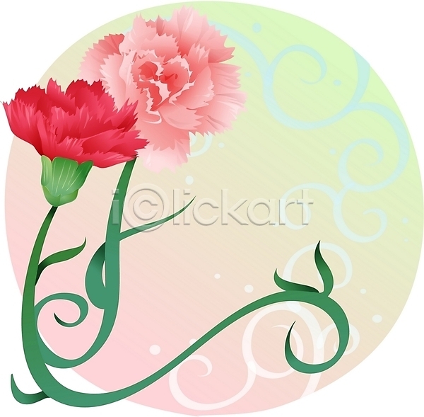 사람없음 EPS 일러스트 꽃 백그라운드 분홍색 빨간색 식물 여름꽃 자연 줄기 카네이션 컬러 클립아트
