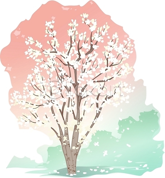 사람없음 EPS 일러스트 꽃 나무 목련 봄꽃 식물 자연 클립아트 한그루