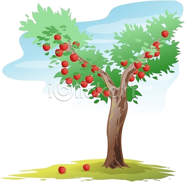 사람없음 EPS 일러스트 과일 나무 사과(과일) 사과나무 식물 야외 열매 주간 클립아트 한그루