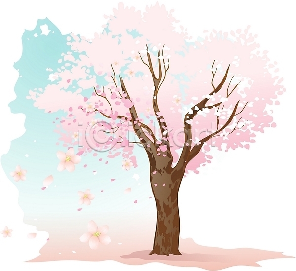 떨어짐 사람없음 EPS 일러스트 나무 벚나무 식물 야외 주간 클립아트 한그루 흩날리기