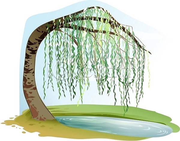 사람없음 EPS 일러스트 나무 버드나무 식물 야외 웅덩이 주간 클립아트 한그루