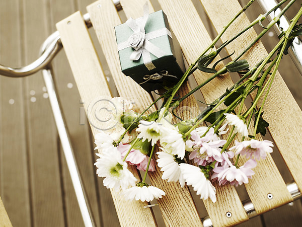 사람없음 JPG 포토 하이앵글 가로 가을꽃 국화 꽃 봄 선물 선물상자 식물 야외 여러송이 의자 흰색