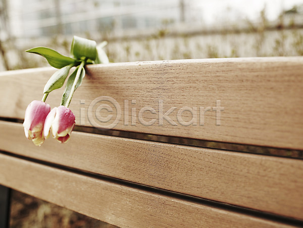 사람없음 JPG 포토 가로 꽃 두송이 벤치 봄 봄꽃 분홍색 식물 야외 의자 초록색 튤립
