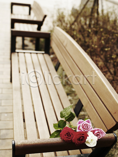 사람없음 JPG 포토 공원 꽃 벤치 봄 분홍색 빨간색 세로 식물 야외 여러송이 여름꽃 의자 장미 초록색 컬러풀