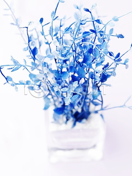 사람없음 JPG 포토 꽃 꽃병 세로 스튜디오촬영 식물 실내 장식 파란색