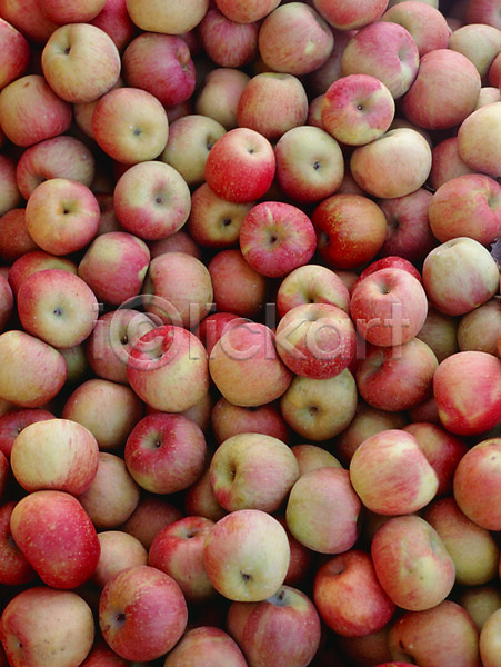사람없음 JPG 포토 과일 사과(과일) 식물 열매 음식