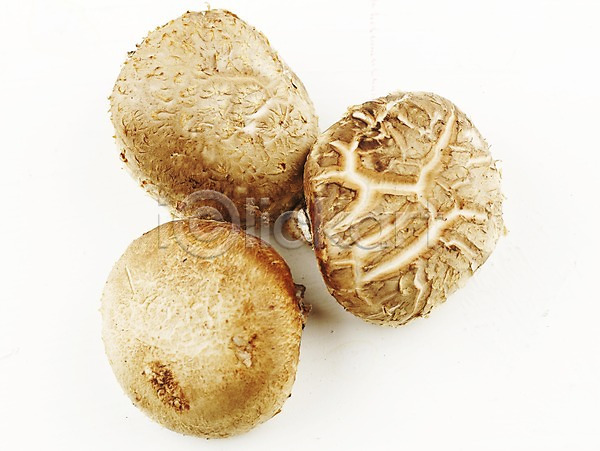 신선 사람없음 JPG 포토 가로 농작물 누끼 버섯 스튜디오촬영 식용버섯 식재료 실내 음식 표고버섯