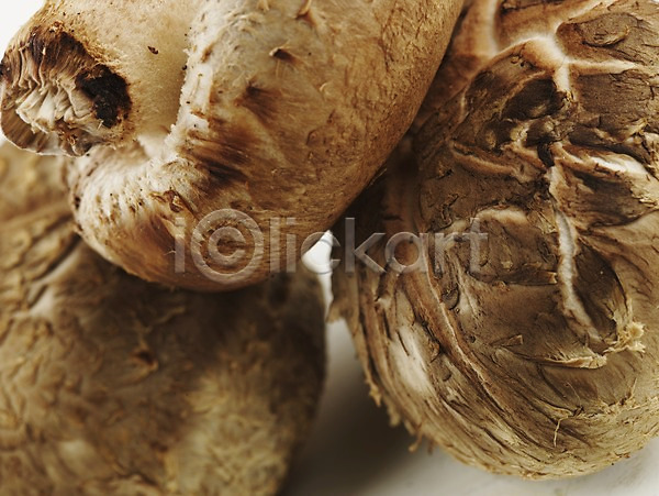 신선 사람없음 JPG 근접촬영 포토 가로 농작물 버섯 스튜디오촬영 식용버섯 식재료 실내 양송이 음식 표고버섯