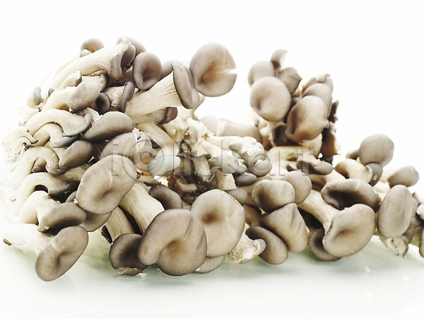 신선 사람없음 JPG 포토 가로 농작물 느타리버섯 버섯 스튜디오촬영 식용버섯 식재료 실내 여러개 음식