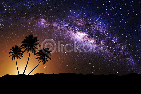 사람없음 JPG 실루엣 포토 해외이미지 SF 과학 나무 백그라운드 별 별빛 보라색 빛 산 성운 식물 야간 야외 어둠 여행 우주 은하계 자연 풍경(경치) 하늘 해외202004