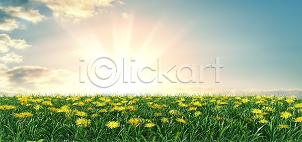 사람없음 3D JPG 포토 해외이미지 계절 구름 그리너리 꽃 꽃무늬 노란색 농경지 농장 데이지 들꽃 땅 맑음 밭 벚꽃 봄 수평선 시골 식물 아침 야외 여름 잎 자연 장면 전원 초록색 초원 캐모마일 태양 파란색 풍경 하늘 해외202004 해외포토 햇빛 환경 흰색