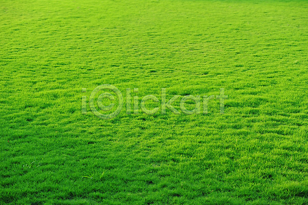 사람없음 JPG 포토 해외이미지 식물 야외 잔디 정원 초록색 풍경(경치) 해외202004 햇빛
