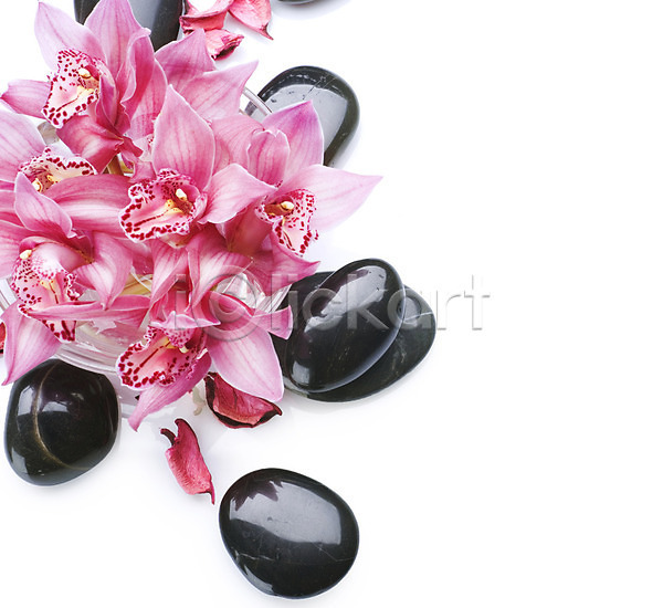 사람없음 JPG 포토 해외이미지 검은색 꽃 난초 마사지 백그라운드 분홍색 스파 쌓기 오브젝트 조약돌 컨셉 테라피 해외202004 흰색