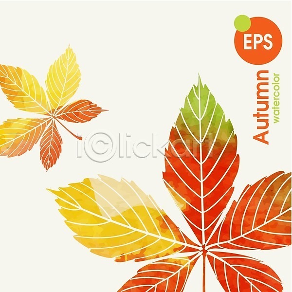 사람없음 EPS 일러스트 해외이미지 가을(계절) 노란색 백그라운드 빨간색 수채화(물감) 식물 잎 자연 초록색 해외202004