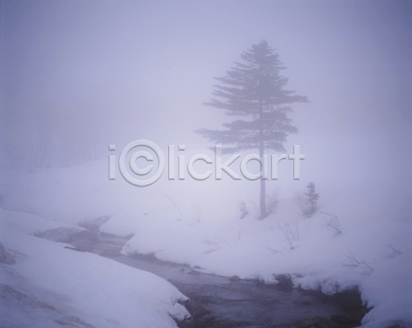 사람없음 JPG 포토 개울 겨울 계절 나무 눈(날씨) 물 사계절 산 설경 설원 식물 야외 자연 주간 풍경(경치)