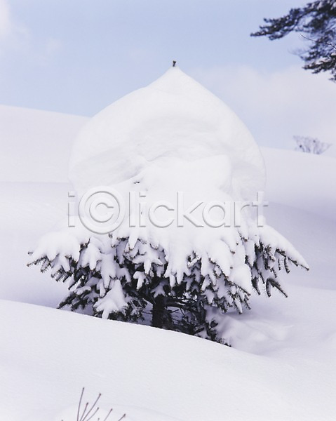 사람없음 JPG 포토 겨울 계절 구름(자연) 나무 눈(날씨) 눈꽃 사계절 산 설경 설원 숲 식물 야외 자연 주간 풍경(경치) 하늘
