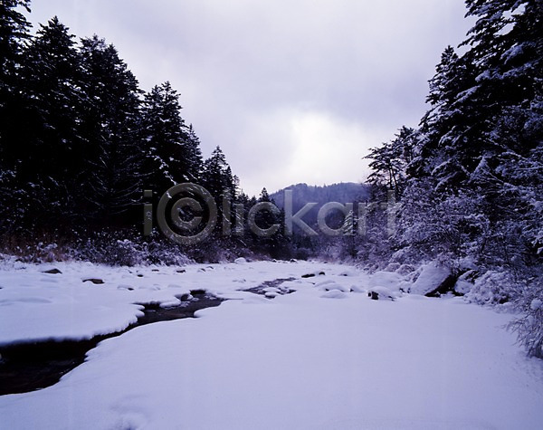 사람없음 JPG 포토 개울 겨울 계곡 계절 나무 눈(날씨) 사계절 산 설경 숲 식물 야외 여러그루 자연 주간 풍경(경치) 하늘