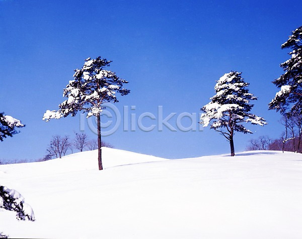 사람없음 JPG 포토 겨울 계절 나무 눈(날씨) 눈꽃 사계절 산 설경 설원 식물 야외 언덕 여러그루 자연 주간 풍경(경치) 하늘