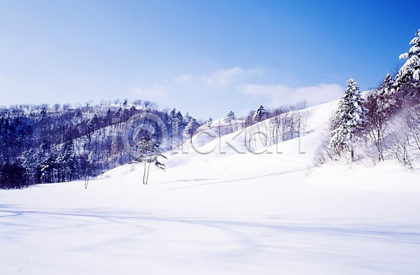 사람없음 JPG 포토 겨울 계절 구름(자연) 나무 눈(날씨) 사계절 산 설경 설원 식물 야외 자연 주간 풍경(경치) 하늘