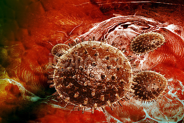 상상 사람없음 3D JPG 일러스트 포토 해외이미지 감염 바이러스 박테리아 세포 예방접종 조류 질병 컬러풀 해외202004