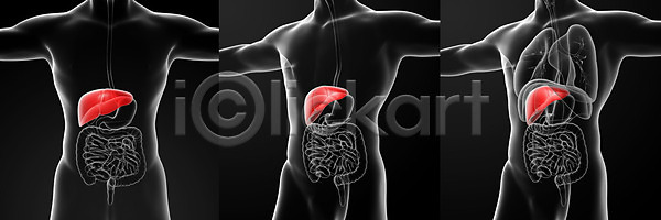 고통 사람 사람없음 3D JPG 포토 해외이미지 간 건강 과학 내부 방광 복부 생물학 신장 신체 암 약 염증 오르간 췌장 하트 해부 해외202004 해외포토