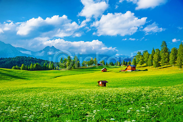 사람없음 JPG 포토 해외이미지 계곡 그리너리 나무 맑음 방목 밭 산 알프스 야외 여름(계절) 여행 오스트리아 유럽 주택 풍경(경치) 하늘 해외202004