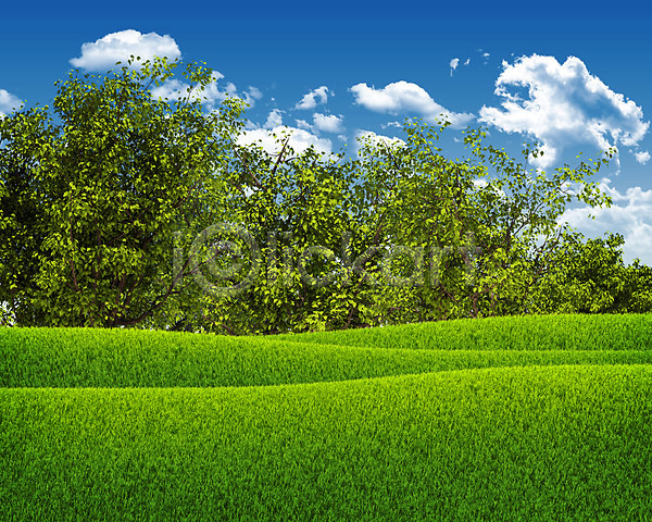 사람없음 JPG 포토 해외이미지 나무 날씨 맑음 봄 식물 야외 잔디 초록색 태양 풍경(경치) 하늘 해외202004 햇빛