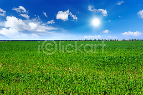 사람없음 JPG 포토 해외이미지 날씨 맑음 봄 잔디 초록색 풍경(경치) 하늘 해외202004 햇빛