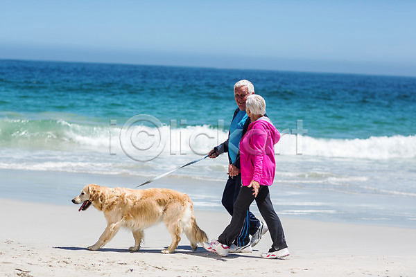 기쁨 평화 함께함 행복 70대 남자 노년 노인만 두명 백인 여자 JPG 포토 해외이미지 개 걷기 노후 리트리버 맑음 모래 물 미소(표정) 바다 반려동물 여름(계절) 잡기 커플 파도 해외202004 휴가