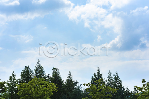 사람없음 JPG 포토 구름(자연) 나무 맑음 야외 여름(계절) 여름풍경 주간 풍경(경치) 하늘 힐링