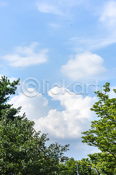 사람없음 JPG 포토 구름(자연) 나무 맑음 야외 여름(계절) 여름풍경 주간 풍경(경치) 하늘 힐링