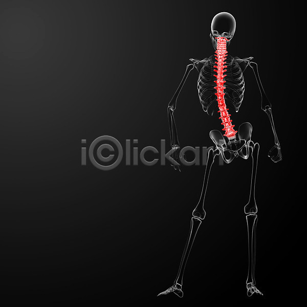 사람없음 3D JPG 실루엣 일러스트 포토 해외이미지 건강 골격 몸통 뼈 엑스레이 염증 요통 척추 파란색 포즈 해외202004