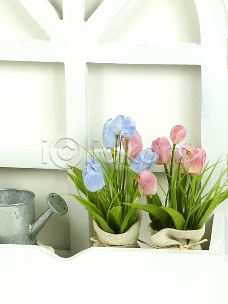 사람없음 JPG 포토 꽃 꽃꽂이 꽃병 물뿌리개 스튜디오촬영 식물 인테리어 창문 화분