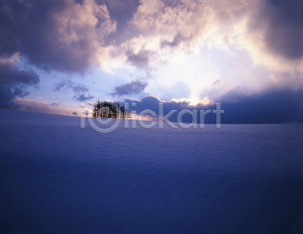 사람없음 JPG 포토 겨울 구름(자연) 나무 노을 눈(날씨) 설경 야외 일몰 주간 초원(자연) 풍경(경치) 하늘