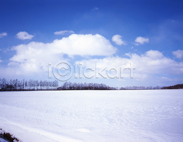 사람없음 JPG 포토 겨울 구름(자연) 나무 눈(날씨) 설경 숲 식물 야외 주간 초원(자연) 풍경(경치) 하늘