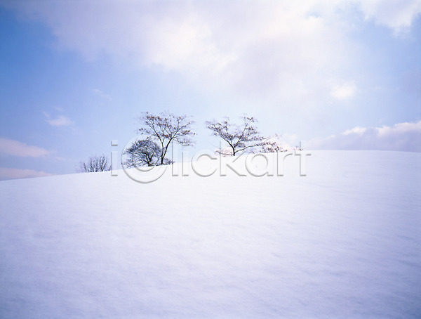 사람없음 JPG 포토 겨울 구름(자연) 나무 눈(날씨) 설경 식물 야외 주간 초원(자연) 풍경(경치) 하늘