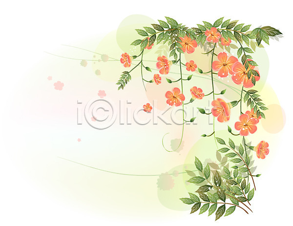 사람없음 EPS 일러스트 템플릿 꽃 꽃백그라운드 능소화 백그라운드 식물 여름꽃 자연