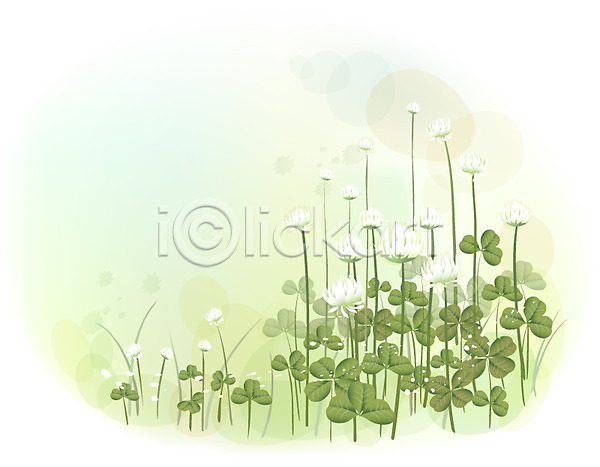 사람없음 EPS 일러스트 템플릿 꽃 꽃백그라운드 백그라운드 식물 자연 토끼풀