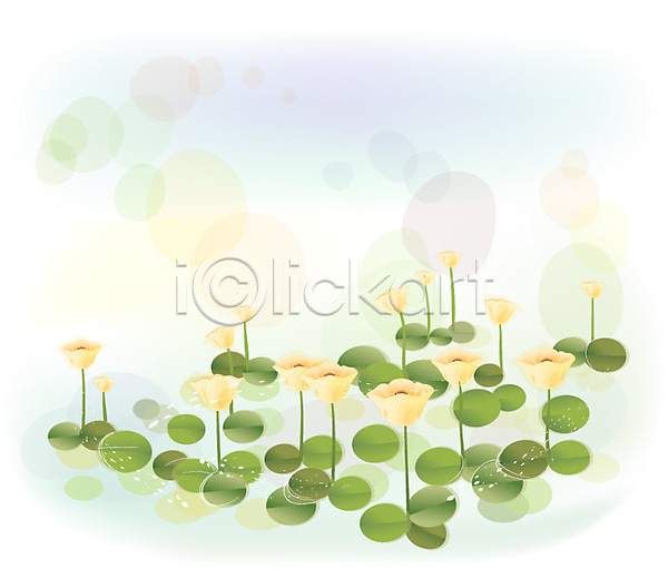 사람없음 EPS 일러스트 템플릿 꽃 꽃백그라운드 들꽃 물양귀비 백그라운드 식물 양귀비 자연