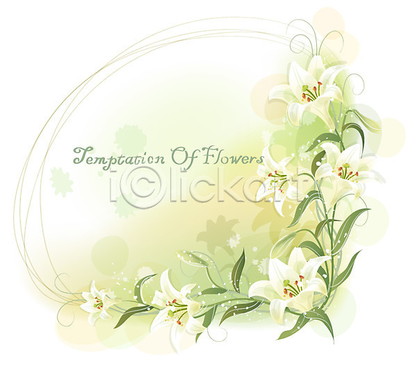 사람없음 EPS 일러스트 템플릿 꽃 꽃백그라운드 백그라운드 백합(꽃) 식물 여름꽃 자연