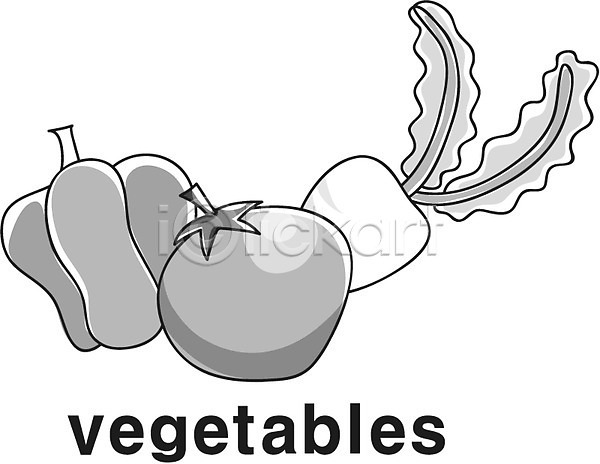 사람없음 EPS 라인아이콘 아이콘 흑백 농작물 단어 무 식재료 영어 영어교육 음식 채소 토마토 피망
