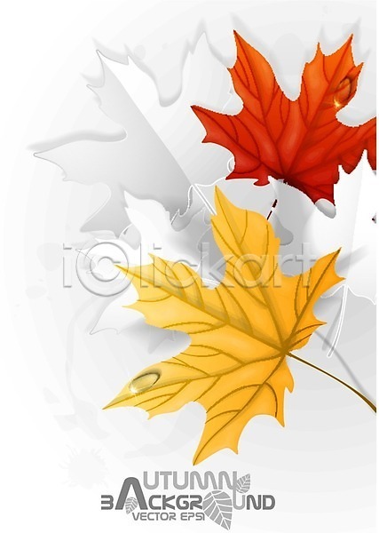 EPS 일러스트 해외이미지 10월 9월 가을(계절) 갈색 나무 노란색 단풍 디자인 미술 백그라운드 식물 오렌지 잎 자연 장식 종이 질감 추상 해외202004 황금